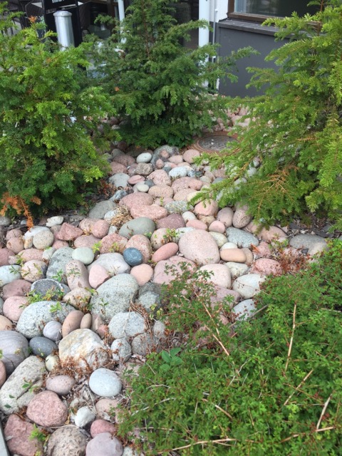 Kattskallar i Ålänsk granit